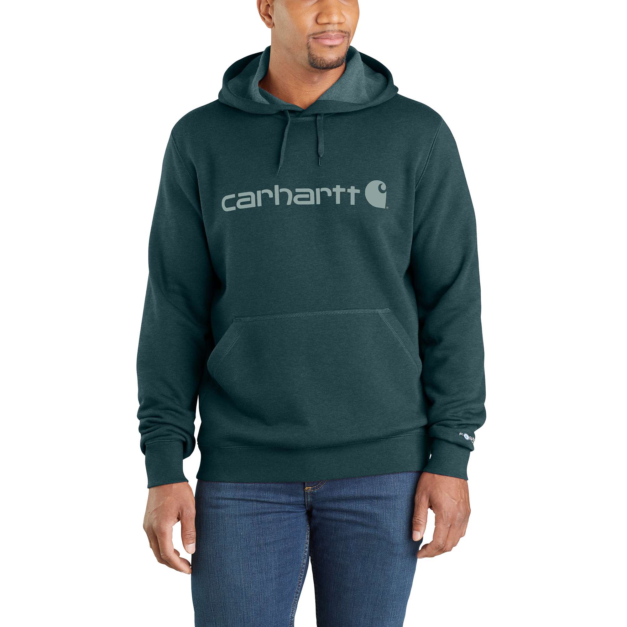 Carhartt Force® Delmont Signature Graphic Hooded Sweatshirt